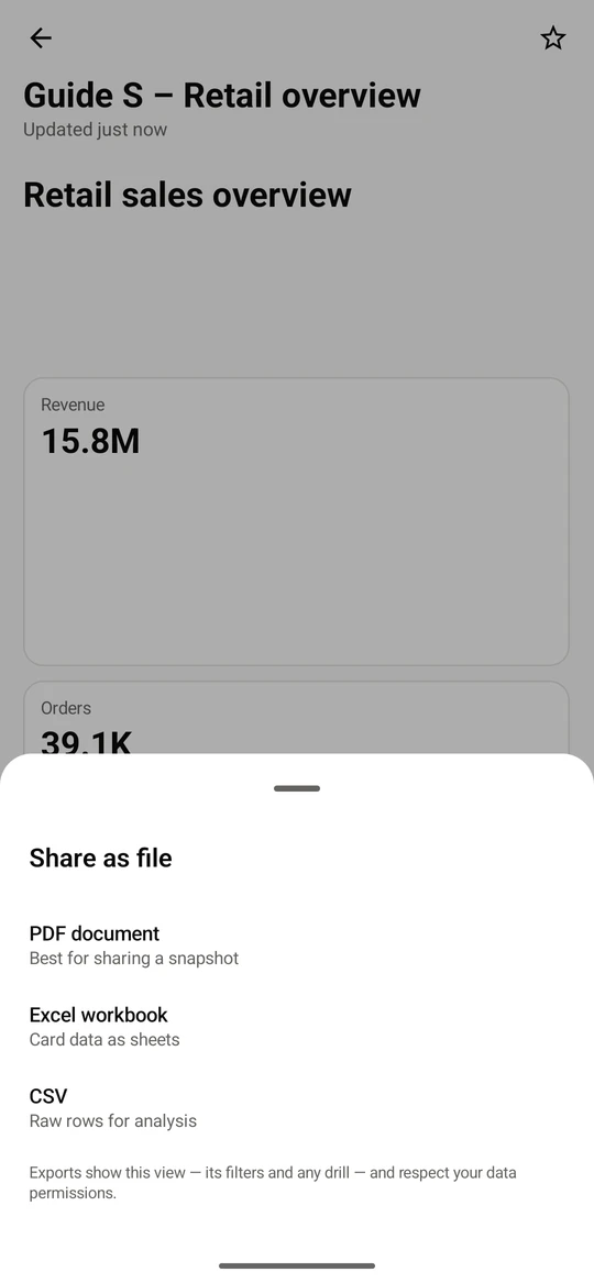 Share as file offers a PDF document, an Excel workbook and a CSV. Exports show the view you are looking at, with its filters, and respect your data permissions.