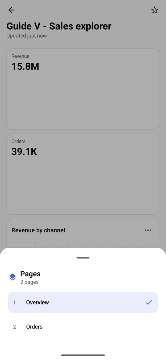 When a dashboard has more than one page, Pages lists them. The check shows the page you are on.