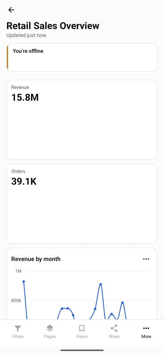 Open the copy without a connection. The dashboard still opens and a banner says Offline; refresh it when you are back online.