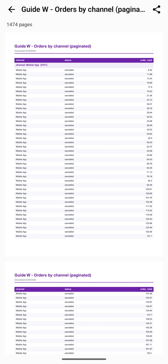 Open a report. The server draws it as pages for your account and the count shows under the title. Share report sends the file.