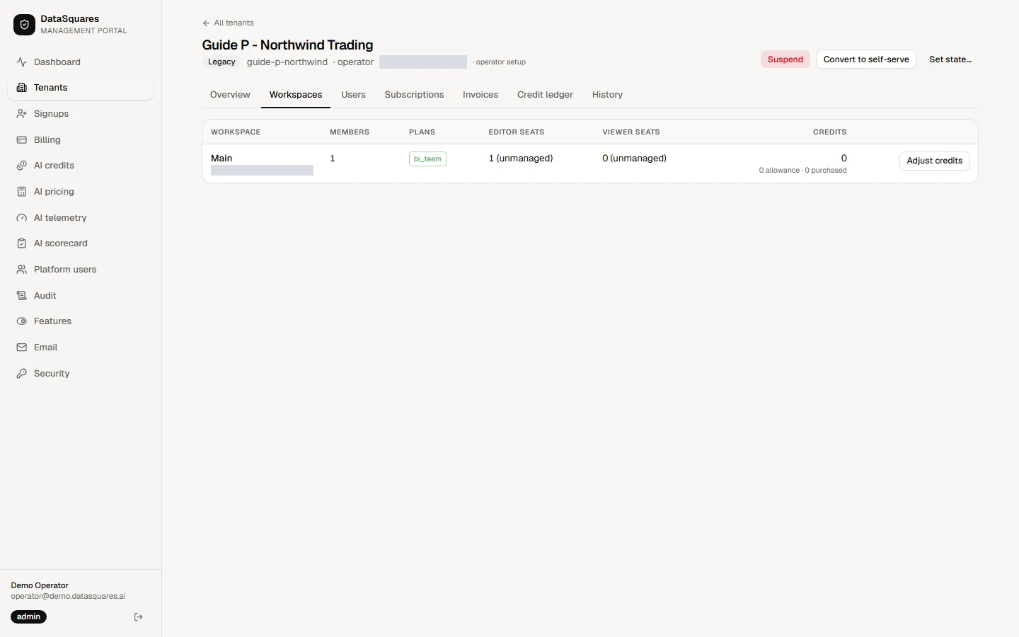 Workspaces lists each workspace with its plan, seats and AI credit balance. Adjust credits sits here, beside the workspace it applies to.