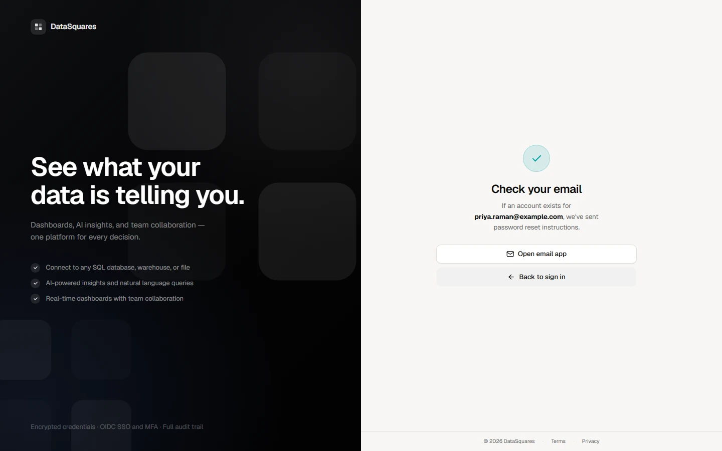 The page says Check your email. It gives the same answer whether or not an account exists for that address, so it never reveals who has an account. When an account exists, DataSquares emails the reset link.